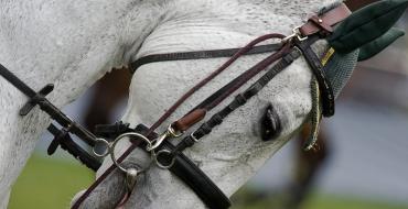 Zirgu iejūgs: no kā sastāv zirglietas un aprīkojums